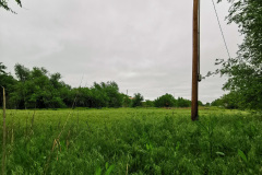 Day-7-Amarillo-pic-021