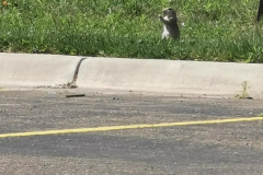 Day-7-Amarillo-pic-068