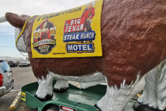 Day-7-Amarillo-pic-085