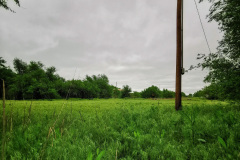 Day-8-Tucumcari-pic-040