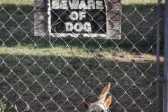 Day-8-Tucumcari-pic-065