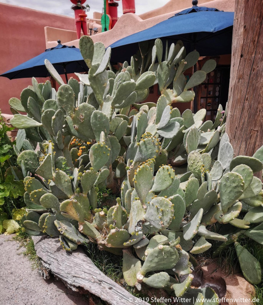 Day-9-Albuquerque-pic-035