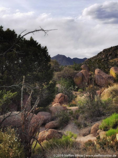 Day-9-Albuquerque-pic-057