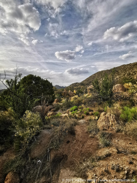 Day-9-Albuquerque-pic-059