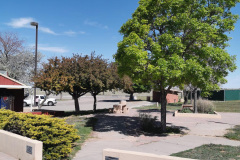 Day-9-Albuquerque-pic-004