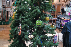 Day-9-Albuquerque-pic-013