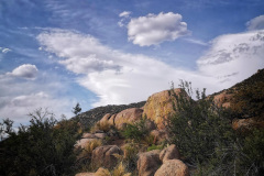 Day-9-Albuquerque-pic-046