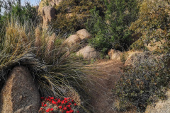 Day-9-Albuquerque-pic-047