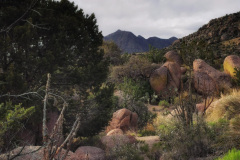 Day-9-Albuquerque-pic-057