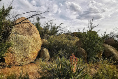 Day-9-Albuquerque-pic-058