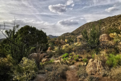 Day-9-Albuquerque-pic-059