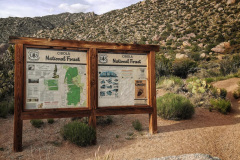 Day-9-Albuquerque-pic-060