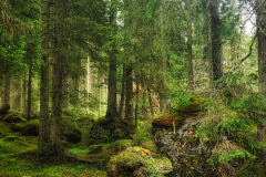 IMG_20210609_104047-01