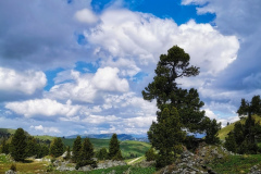 IMG_20210610_105544-01