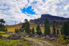 IMG_20210610_110453-01