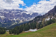 IMG_20210610_112101-01