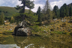 IMG_20210610_121455-01