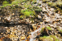 IMG_20210610_124032-01