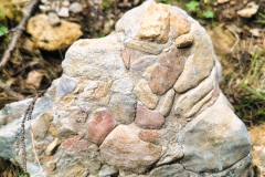 IMG_20210610_124255-01