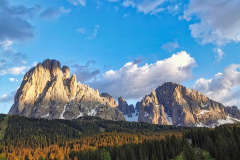 IMG_20210611_203053-01