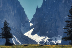 IMG_20210615_095323-01