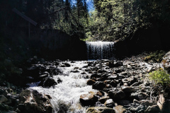 IMG_20210615_101407-01