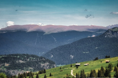 IMG_20210615_111111-01