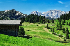 IMG_20210615_112306-01