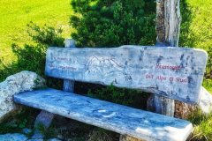 IMG_20210615_113008-01