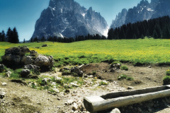 IMG_20210615_120412-01