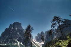 IMG_20210615_121113-01