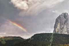 IMG_20210616_185655-01