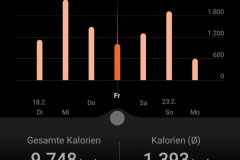 Screenshot_20200226_080419_com.huawei.health