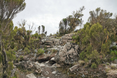 IMG_20200223_151516_1