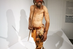 Özi