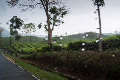 Indonesien 20