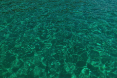 IMG_20240529_151553
