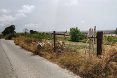 IMG_20240602_112509