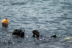 IMG_20240604_161304_940