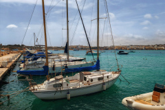 IMG_20240605_144033