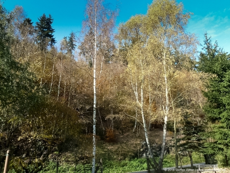 Schönbrunn Kreiseberg