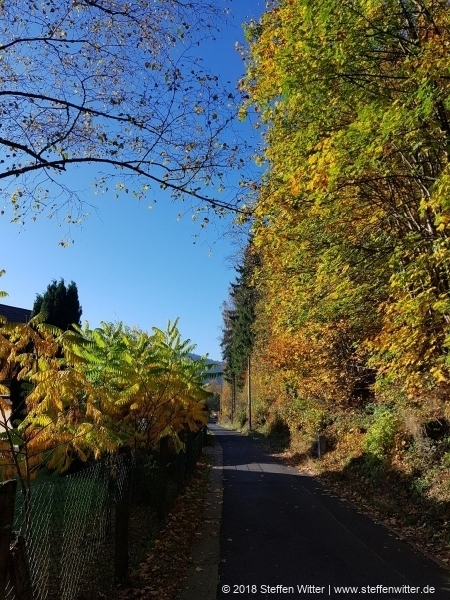 Schönbrunn Schwarzer Weg