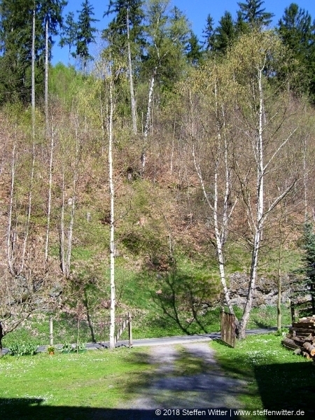 Schönbrunn Kreiseberg