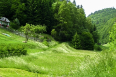 Schönbrunn Hühnersbach