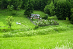 Schönbrunn Hühnersbach