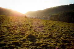 Schönbrunn Schnettersberg