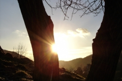 Schönbrunn Schnettersberg
