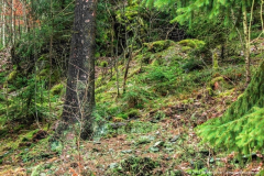 Schönbrunn Kreiseberg