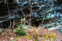 Schönbrunn Kreiseberg