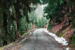 Schönbrunn Kreiseberg